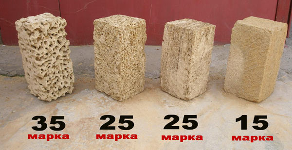 Ракушечник Крымский